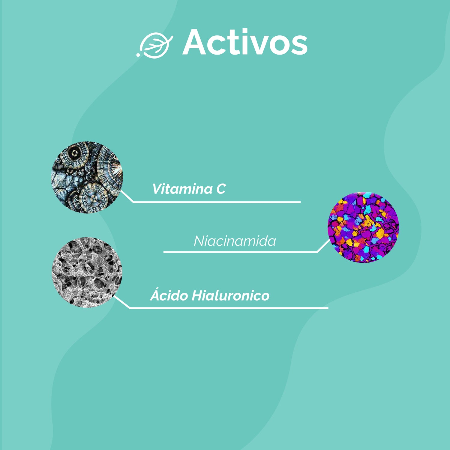 KIT 3 SERUMS- Vit C + Niacinamida + Ácido Hialuronico