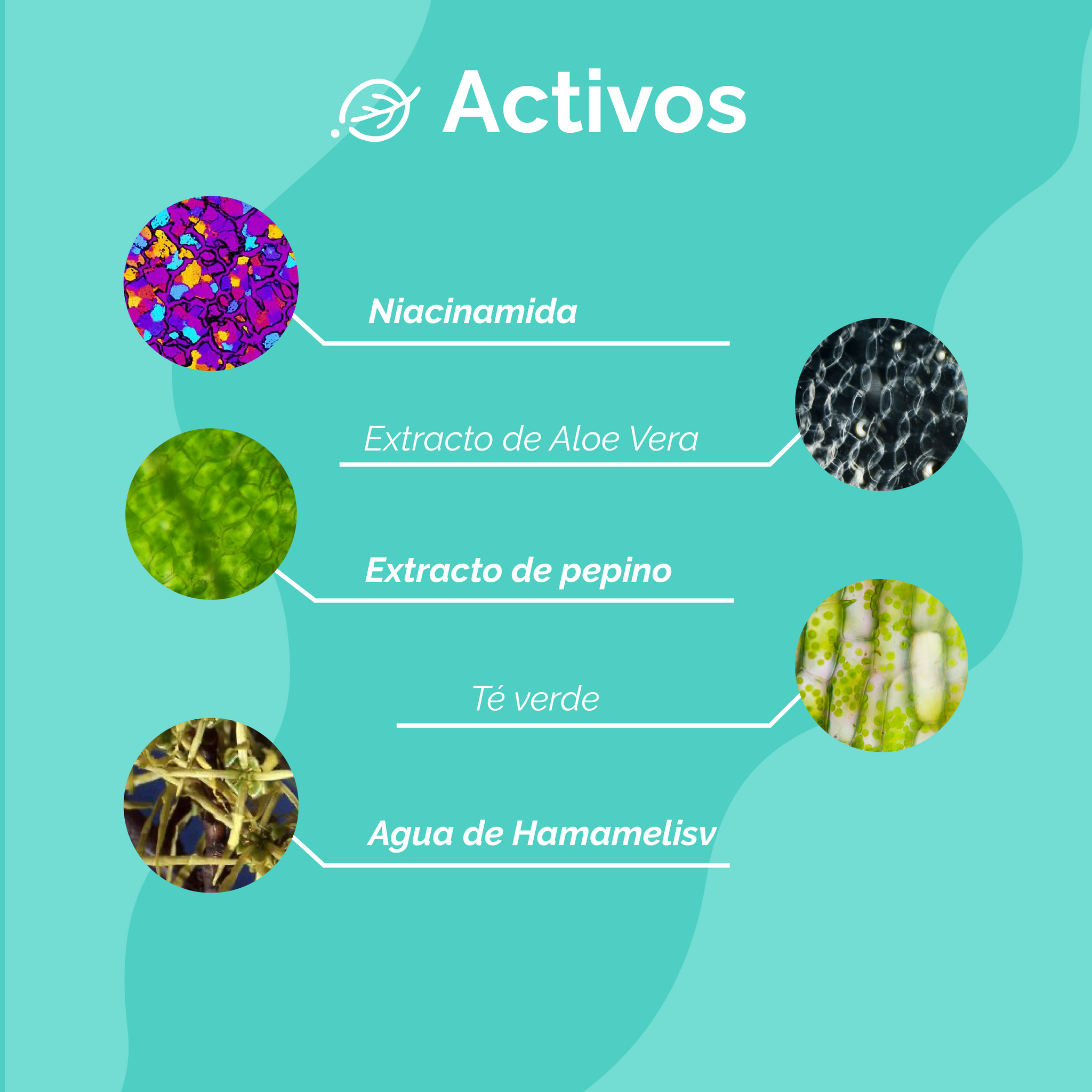 Serum Niacinamida + B5 30 Ml