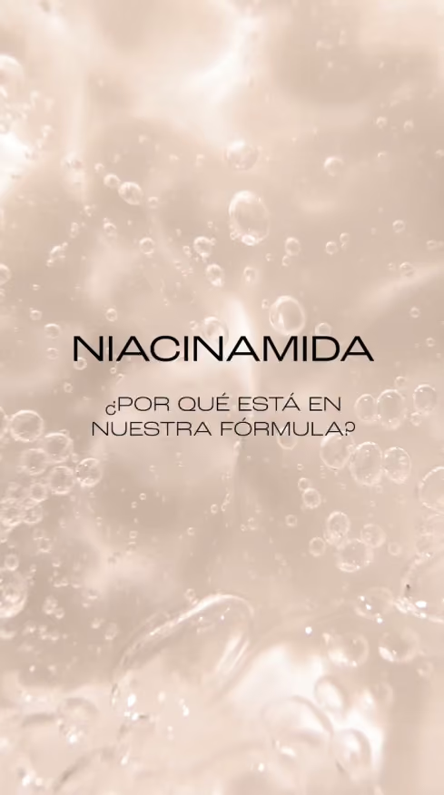Nuevos productos